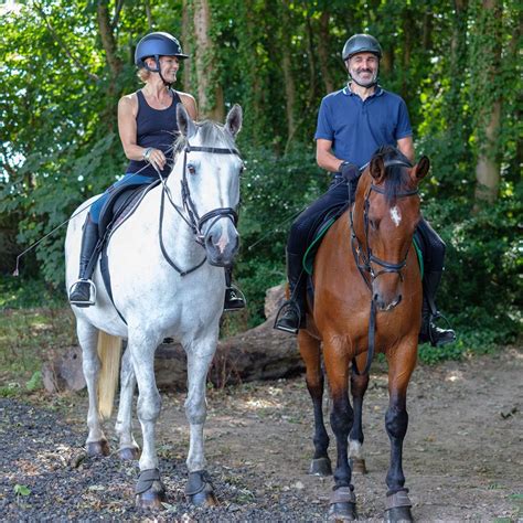horseback riding lessons for adults.